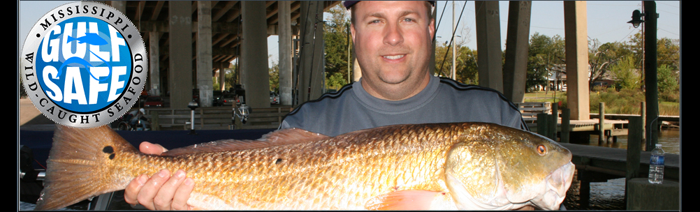 Big Biloxi Bull Red Fish
