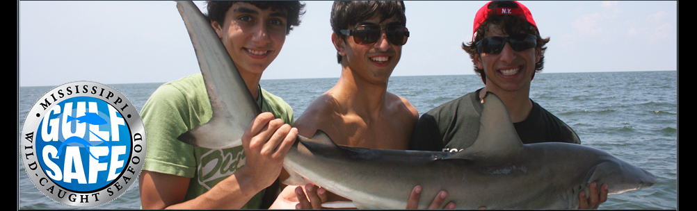 Shark Fishing