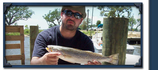 Speckled Trout