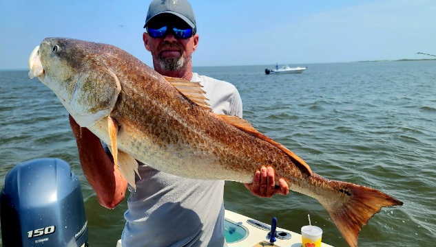 Biloxi s Best Deep Sea Fishing Charter Mega Bite Fishing Charters